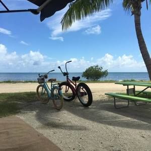 Meet your Posher, Edward